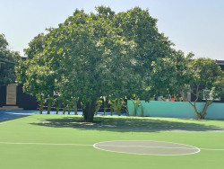 Le Lycée Français Jacques Prévert de Saly au Sénégal - Photo 5