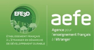 La Cop 28 de la Jeunesse à Dakar : Un Engagement Passionné pour un Avenir Durable