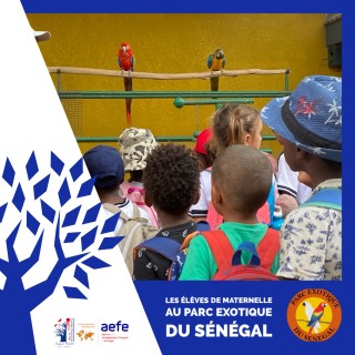 Sortie au Parc Exotique du Sénégal pour toutes les classes de maternelle