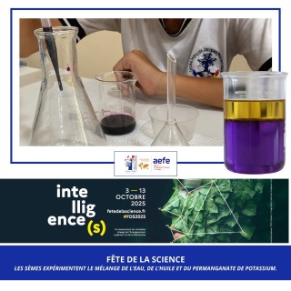 Fête de la science